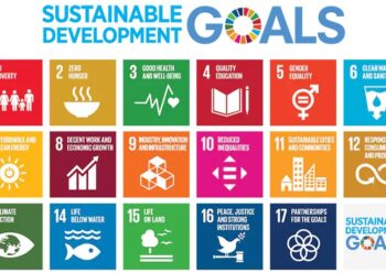 Webinar: aan de slag met SDG’s in jouw Bibliotheek